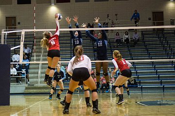 PO 1 DHS v St.Pointe 100